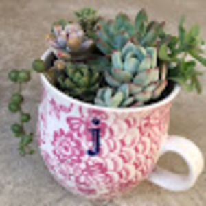 Meet your Posher, Jasmine